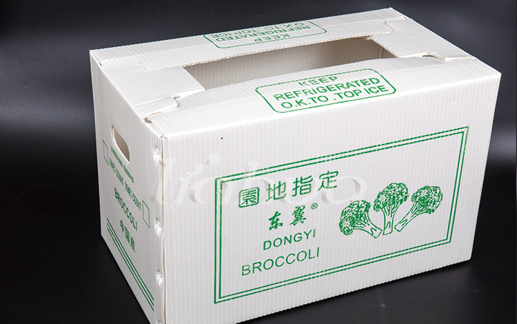 Cutia de broccoli-2